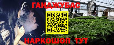 скорость Шелехов