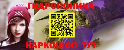 apvp Шебекино