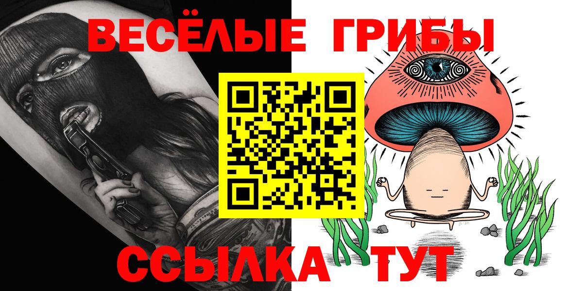 Галлюциногенные грибы Psilocybine cubensis Алексин