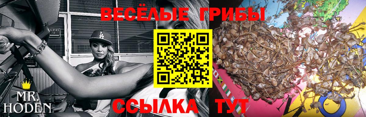 Псилоцибиновые грибы мухоморы  Вход с VPN  Алексин  Галлюциногенные грибы Magic Shrooms 